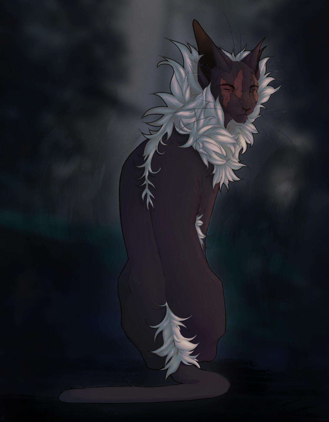 Fullbody